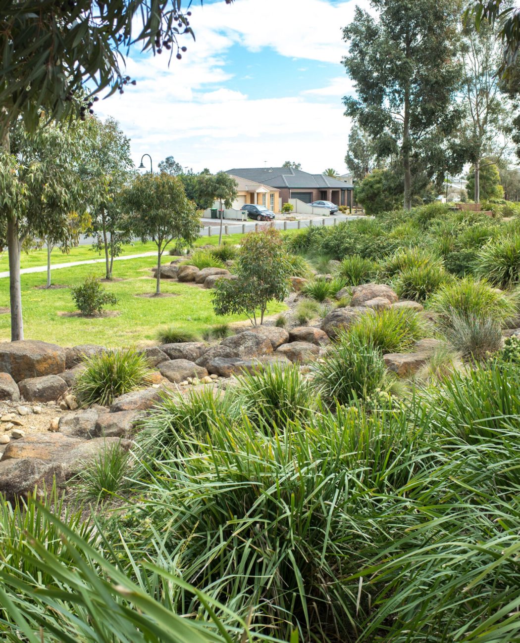 view,of,a,landscaped,suburban,park,with,footpath,,rocks,,eucalyptus