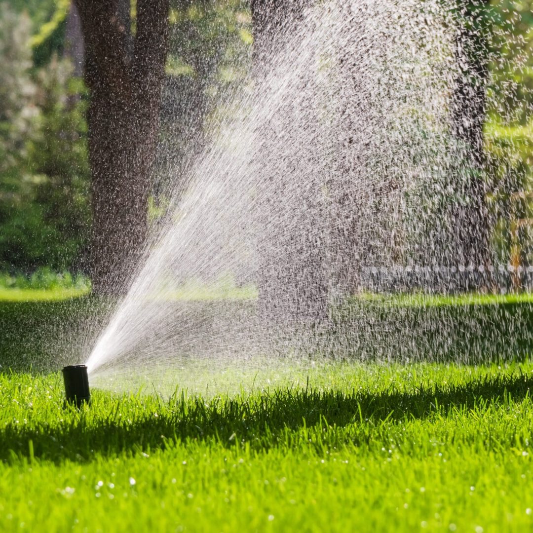 flying,splashes,of,water,on,green,grass.,automatic,sprinkler,system
